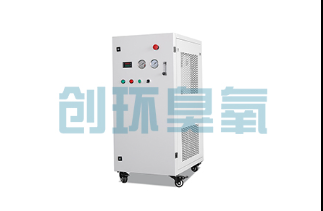 惠州工厂化养鲈必看:2026年臭氧发生器替代传统消毒的最新方案