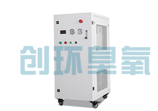 惠州石斑鱼养殖水质调控完整指南：臭氧发生器配置与操作步骤