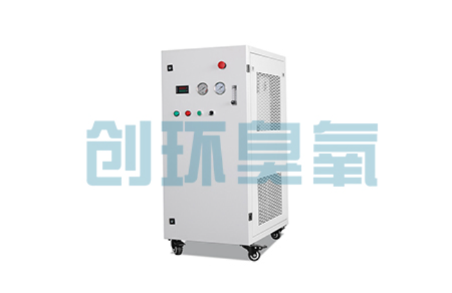 惠州比传统换水更高效？臭氧发生器在石斑鱼养殖中的水质净化原理解析