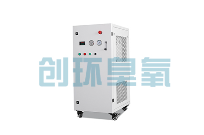 惠州比传统换水更高效?臭氧发生器在石斑鱼养殖中的水质净化原理解析